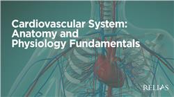 Cardiovascular System: Anatomy and Physiology Fundamentals