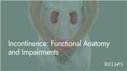 Incontinence: Functional Anatomy and Impairments