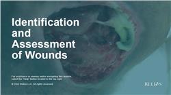 Identification and Assessment of Wounds
