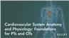 Cardiovascular System Anatomy and Physiology: Foundations for PTs and OTs