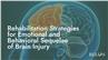 Rehabilitation Strategies for Emotional and Behavioral Sequelae of Brain Injury